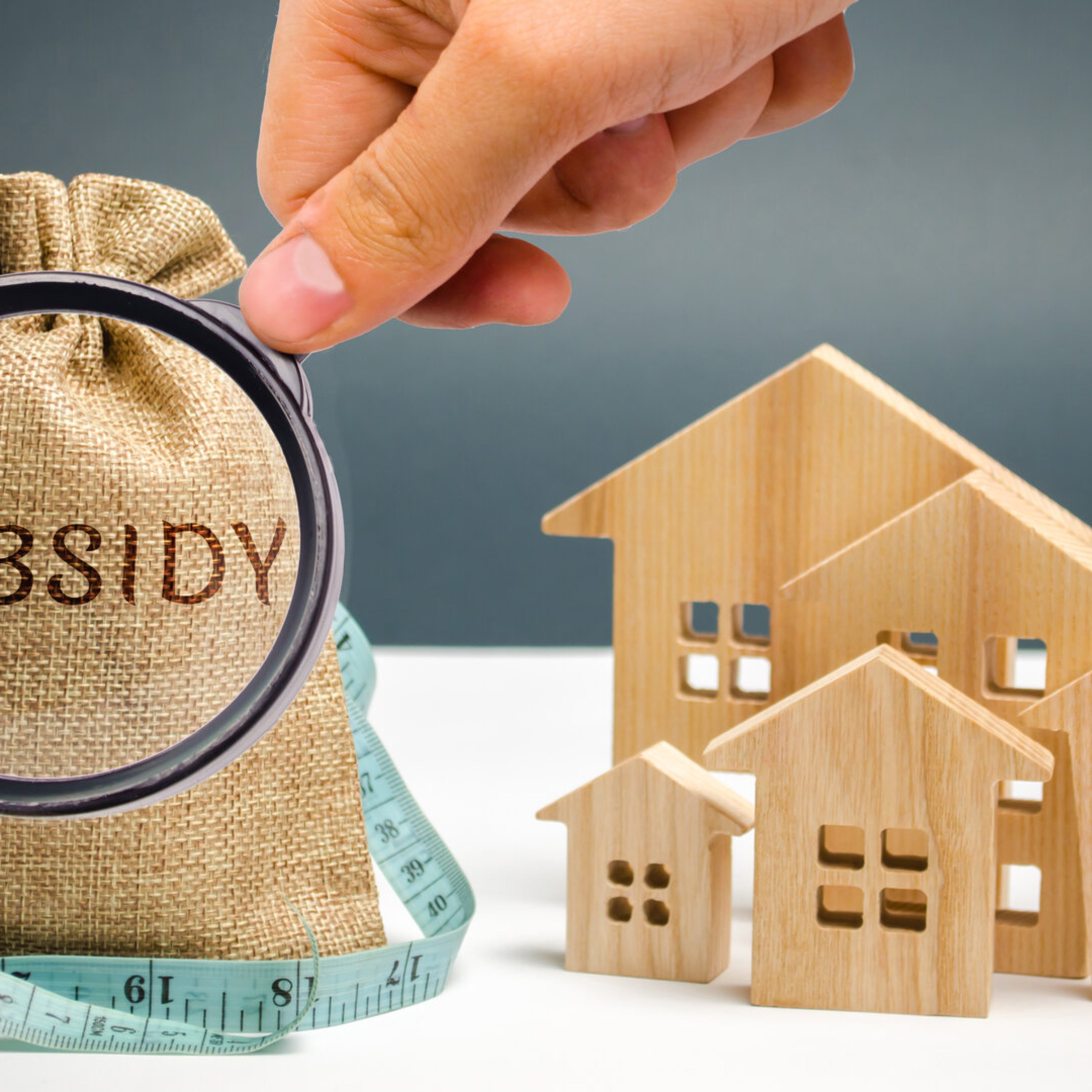 Money,Bag,With,The,Word,Subsidy,And,Wooden,Houses.,Financial Money,Bag,With,The,Word,Subsidy,And,Wooden,Houses.,Financial